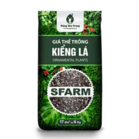 Giá thể trồng cây kiểng lá